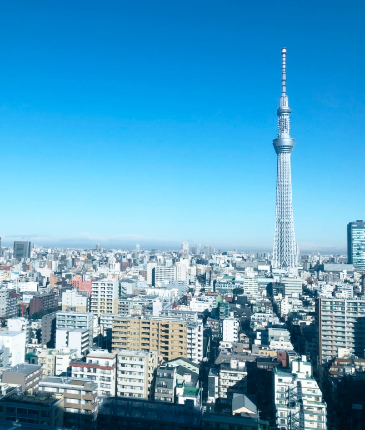 スカイツリーが映る風景写真